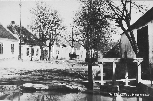 Pferdeschwemme